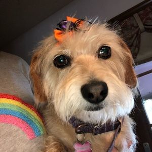 Meet your Posher, Kaylene